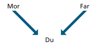 oversikt over opphav
