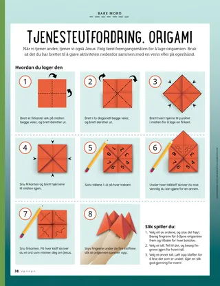 illustrated oribami instructions