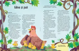 Povestire în format PDF.