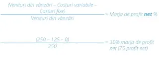 Instalarea luminițelor de Crăciun: calcularea marjei de profit net