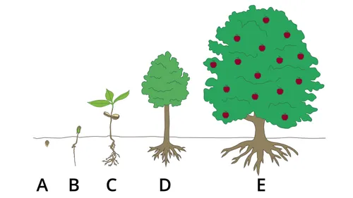 an illustration showing spiritual growth using a tree