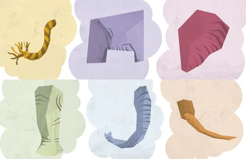 parts of an elephant