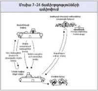 Մոսիա 7–24-ի ճամփորդությունները