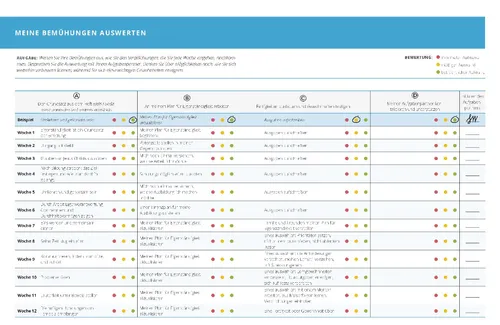 Miniaturansicht „Meine Bemühungen auswerten“