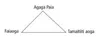 Triangle Diagram