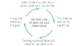 vai trò của ủy ban tự lực cánh sinh