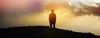 man watching sunset