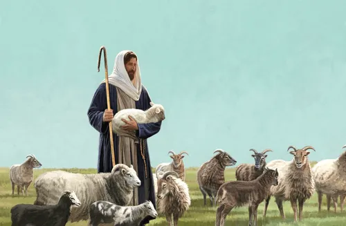 a shepherd holds one of his sheep
