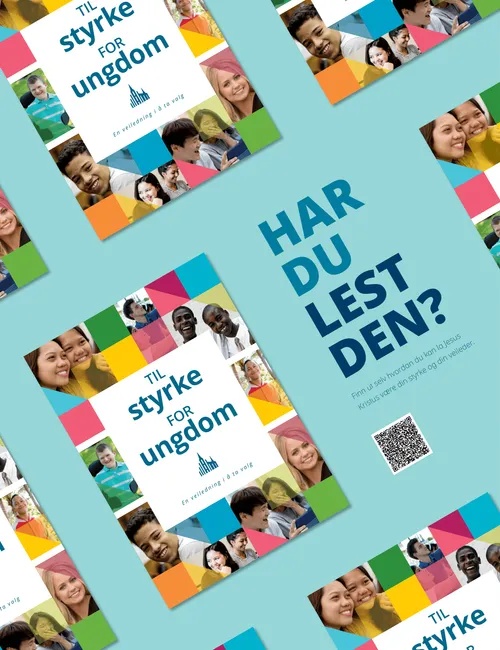 veiledning for ungdom – plakat