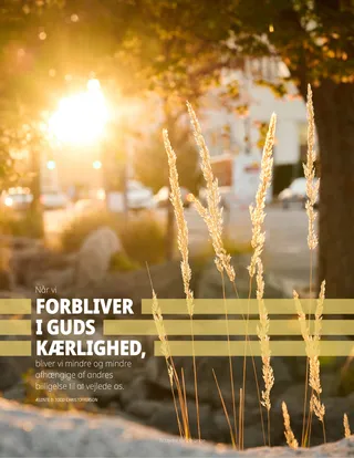 solen skinner gennem træer på græsset