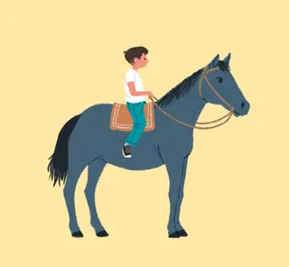 Boy sitting on a horse