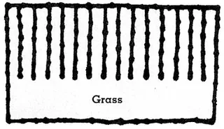 Flowers for Mother’s Day