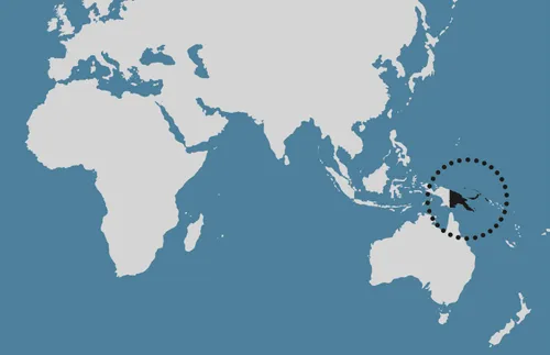 map of world with circle around Papua New Guinea