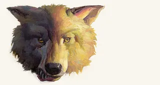 wolf’s head, half dark and half light