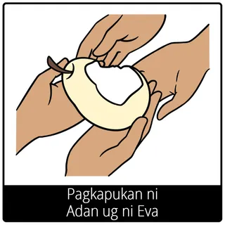 Pagkapukan ni Adan ug ni Eva nga simbolo sa ebanghelyo