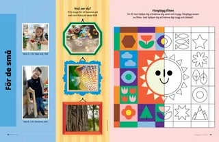 pdf-sida med färgläggningsaktivitet av en filt och förstorade bilder av bubblor, fisk och trädbark