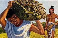 God blessed people of Alma