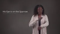 His Eye Is On The Sparrow - TEST-video-screenshot-1.139091.jpeg