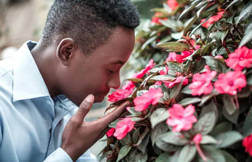 a man smelling some pink flowers