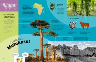 Itulau PDF ma se faafanua laitiiti o Aferika ma ata o laau baobab, fausaga papa, laau vanila, o se lemur, ma se zebu