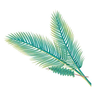 palm fronds