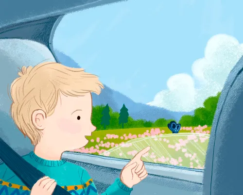 Boy looking out car window at a field