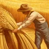 man gathering wheat