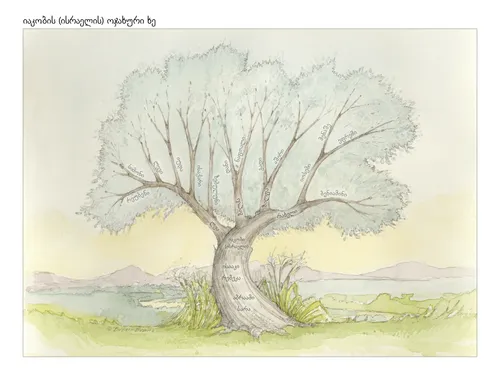 ოჯახური ხე