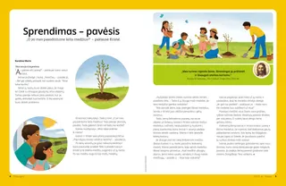 Puslapis PDF formatu