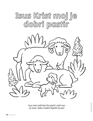 stranica za bojanje s ovcama
