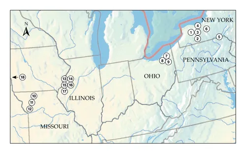 daim piav txog tej daim qhia kev