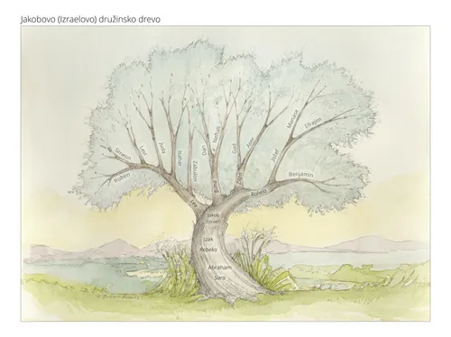 družinsko drevo