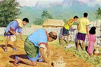 Zeniff and his people built homes