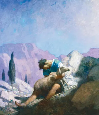 shepherd holding sheep in wilderness