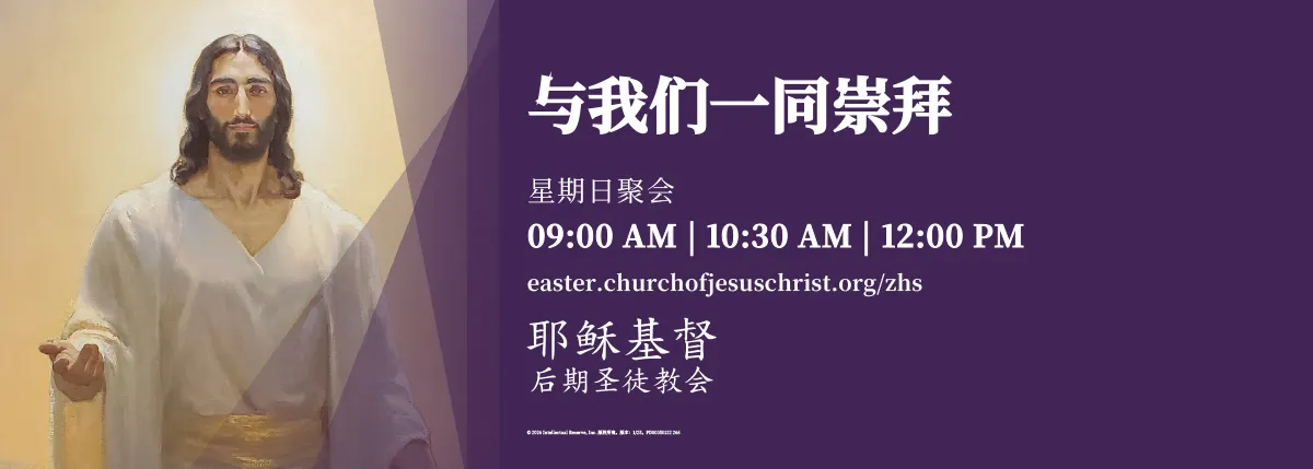 给领袖的圣诞节资源