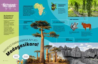 Pejy PDF misy sarintany kely maneho an’i Afrika sy sarina hazo baobaba, vato niforona, lavanila maniry, lémurien, ary omby gasy