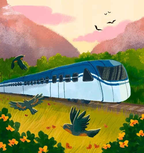 A passenger train on a track with birds flying overhead