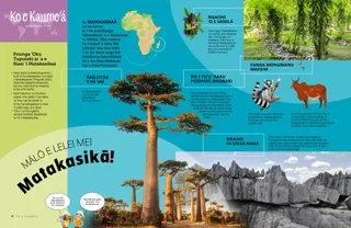 Peesi PDF ʻoku ʻi ai ha kiʻi mape ʻo ʻAfilika mo e ngaahi ʻata ʻo e ʻuluʻakau peiopapí, ngaahi faʻunga maká, ngaahi fuʻu ʻakau vanilá, ko ha līmā, pea mo ha sīpū