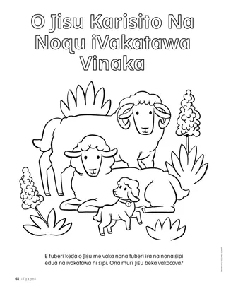 Tabana ni rokarokataki ni sipi