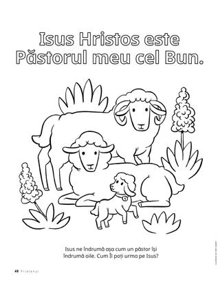 Pagină de colorat cu oi.