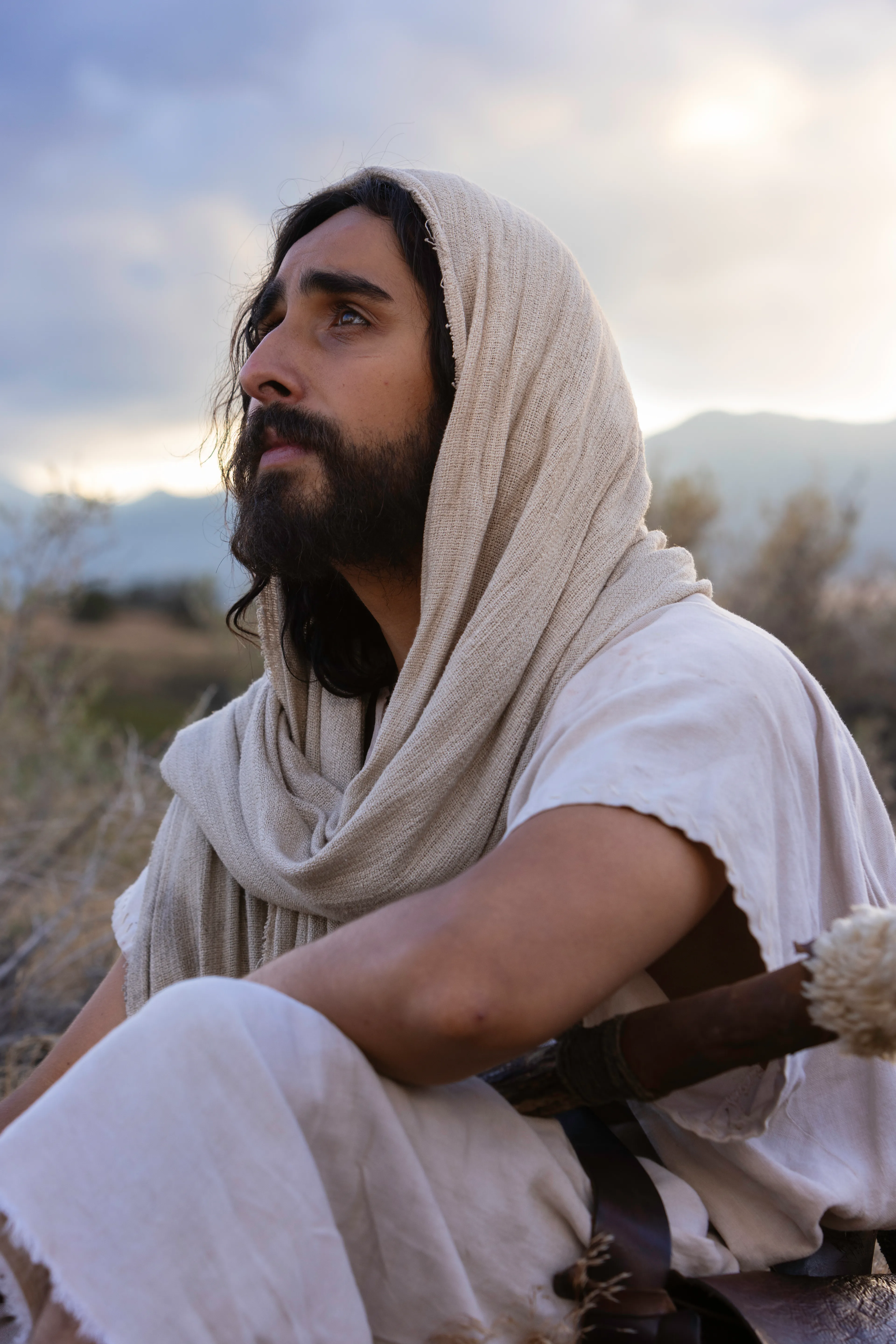 Depiction of Jesus Christ sitting in a field, holding His shepherd staff, and gazing into the heavens. Detail from the Easter 2026 campaign. © undefined ipCode 1.