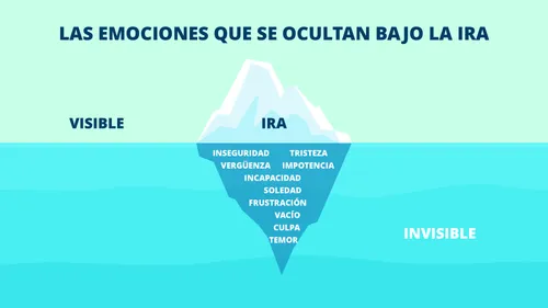 Diagrama de las emociones ocultas