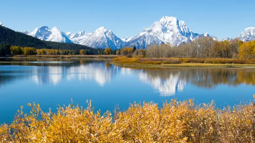fall landscape in Grand Teton National Park