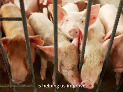 After losing their son and selling everything for his treatment, a family couldn't bear to raise pigs again due to painful memories. Light the World gave them a new start, bringing healing and purpose through helping others.  Your donation does more than provide resources; it heals hearts and restores hope. Missionaries can show you how Light the World transforms tragedy into purpose. 
