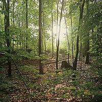 The newly restored cooper shop