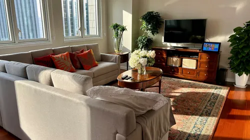 Sun shining in windows