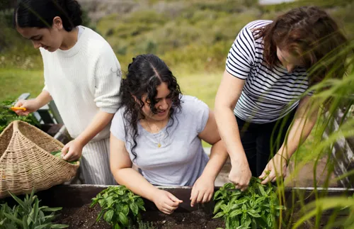 young adults smiling and working on a garden together