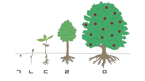 나무를 이용해 영적 성장을 보여 주는 삽화