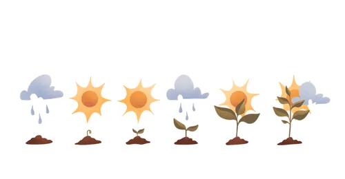 plant growing through sun and rain