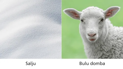 perbandingan salju dan bulu domba